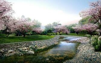 Spring Scenes For Desktop Beautiful