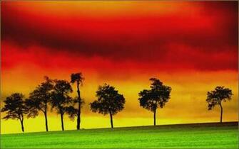 Reggae Jpg Photo By Citrus Photobucket