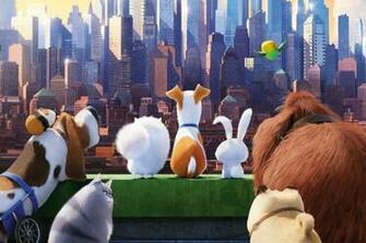 The Secret Life Of Pets Movies HD Wallpaper