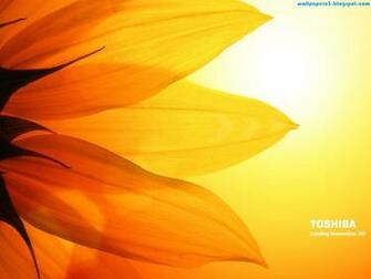 Toshiba Wallpaper High Quality