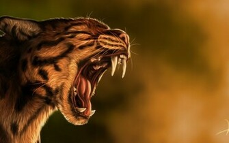 Wild Cat Widescreen Wallpaper Wide Net