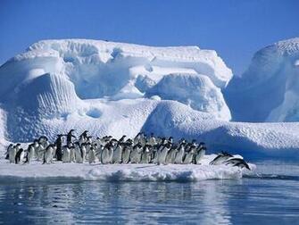 Antarctica Wallpaper