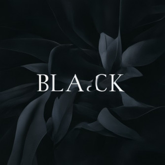 Black Aesthetic Wallpaper