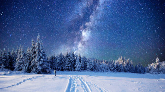 Beautiful Winter Wallpaper
