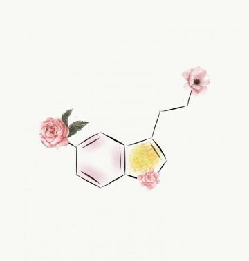 Serotonin Molecule Biology Art Chemistry