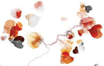 Trove Launches Wallpaper Made From Powdered Stone Co Design