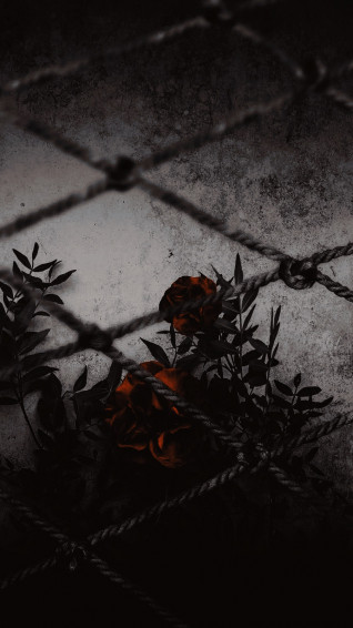 Cool Aesthetic Dark Wallpaper Top Best