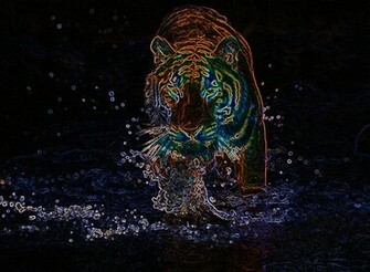 Neon Light WallpaperHD Wallpaper