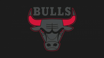 Chicago Bulls Logo Large Image