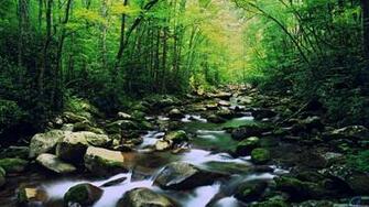 Wallpaper Great Smoky Mountains National Park North Carolina