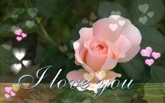 Sweet I Love You Wallpaper