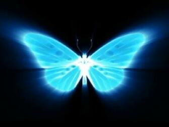 Mariposa Azul Ne N Blue Fondo De Pantalla