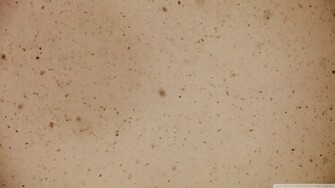 Snowflakes Sepia Wallpaper