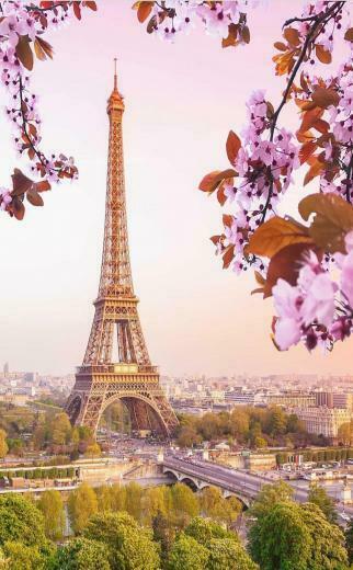 Lovetejaan Pari Kapadia Paris The Tower In