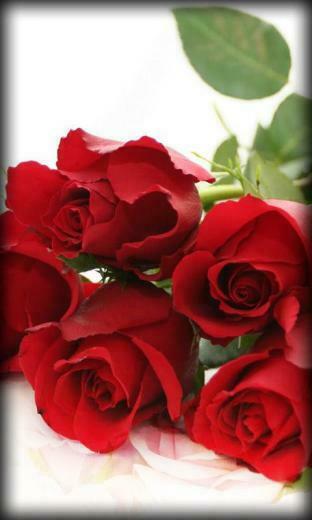 Roses Live Wallpaper Android Apps On Google Play