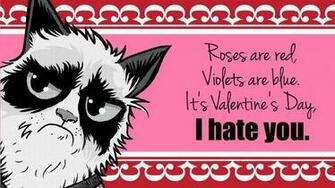 Grumpy Cat Valentine Attitude Cover Photos For