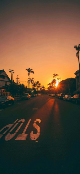 California Aesthetic Wallpaper