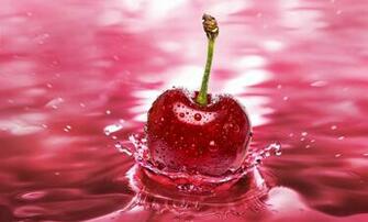 Cherry Purple Water Wallpaper55 Best Wallpaper For Pcs
