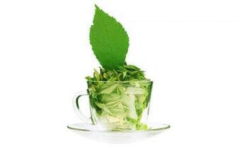 Green Tea Wallpaper Wallpoper