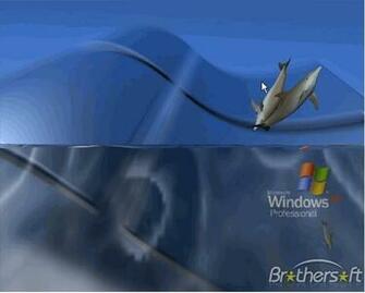 3d Desktop Wallpaper Dolphins In HD