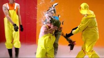 Jackass Wallpaper Image