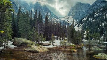 Nature Landscape Mountain Forest Lake Rock Pine Trees