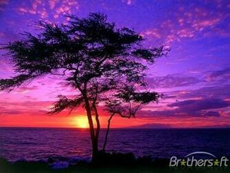 Striking Sunsets Screensaver Appear In A Variety Of
