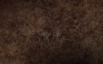 Brown HD Wallpaper