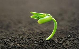 New Life Wallpaper HD