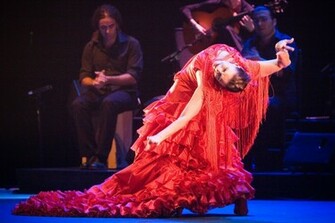 Flamenco Wallpaper Art Print Poster Desktop