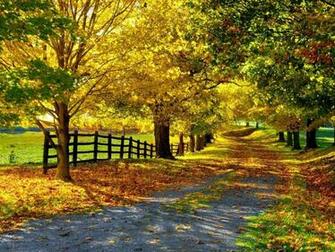 Fall Wallpaper For My Desktop In HD