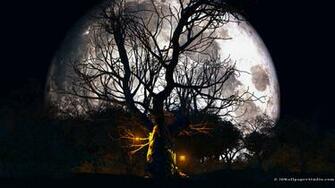 Halloween Forest Wallpaper In Screen Resolution