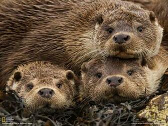 National Geographic Magazine Ngm