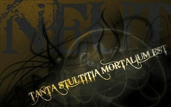 Latin Wallpaper High Quality And Resolution On