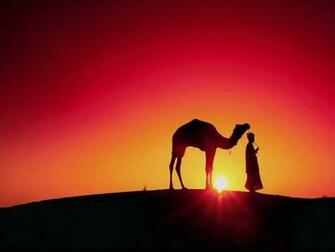 Sunset In Desert Landscapes Computer Desktop Wallpaper