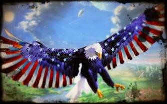 HD Usa Wallpaper The Beauty Of Diversity In