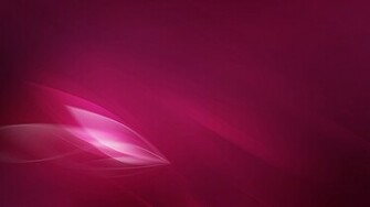 Translucent Wing Widescreen Wallpaper