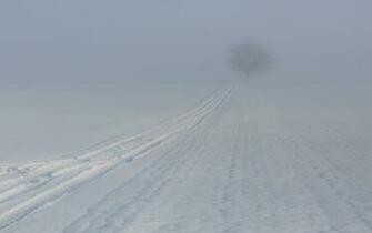 Snow Covered Roads Wallpaper And Image Pictures