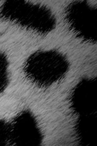 Leopard Skin iPhone HD Wallpaper