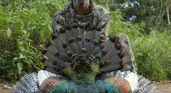 Turkey Hunting Realtree