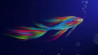 Beautiful Fish Color Full