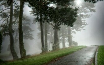 Category Nature HD Wallpaper Subcategory Rain