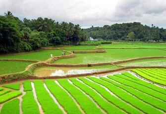 My Places Kerala Desktop And Mobile Wallpaper Wallippo