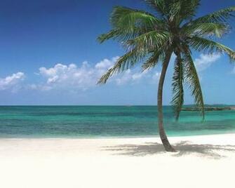 Atlantis Paradise Island Beach Towers Bahamas Res Pictures