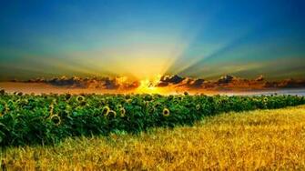 Nature Sun HD Wallpaper