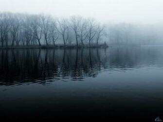 Dark Forest Wallpaper Pictures Photos And Background