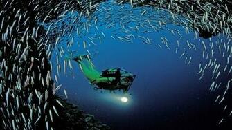Scuba Diving Wallpaper