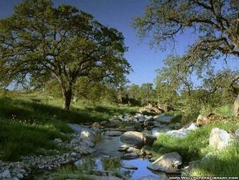 Mountain River Wallpaper