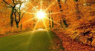 Autumn Season Wallpaper Screensaver