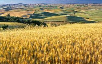 Panoramic Wallpaper Of Windows Image Gallery